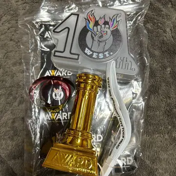 WEST. AWARD 응원봉
