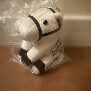 아이돌 호스 메이크 데뷔 소다시 S 사이즈