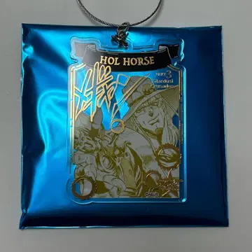 호르호스 와이어 키링