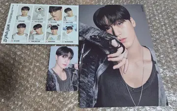 ATEEZ 시그 2025 산