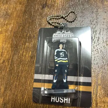 SEVENTEEN HOME HOSHI 호시 아크릴 키링
