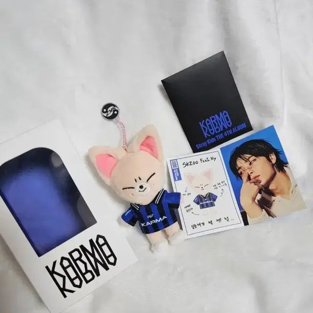 스트레이키즈 카르마 스키주앨범 아이엔