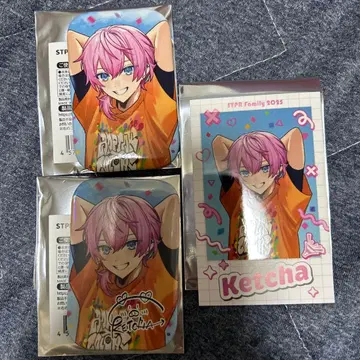 AMPTAK 케차군 묶음 판매