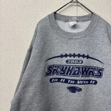 프룻 오브 더 룸 맨투맨 프린트 팀 미국 빈티지 의류 L 3414