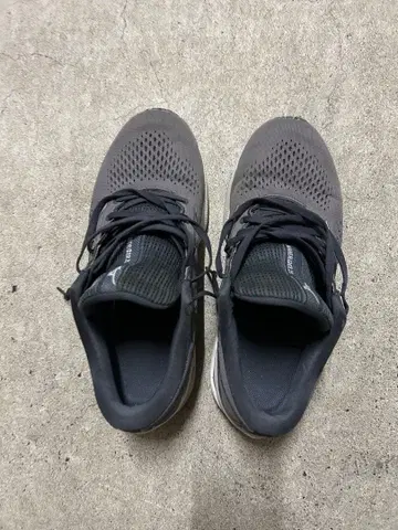 미즈노 러닝화 Mizuno Wave Rider