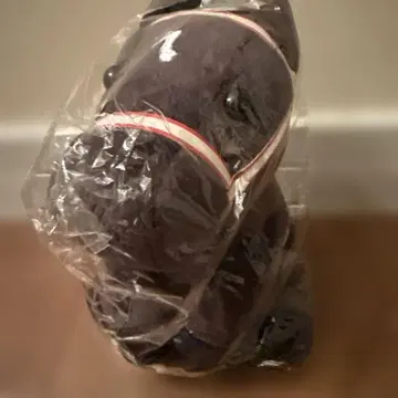 아이돌 호스 일본 더비 콘 트레일 M 사이즈