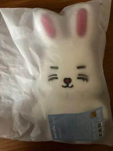 새상품 miniteen 체리체리