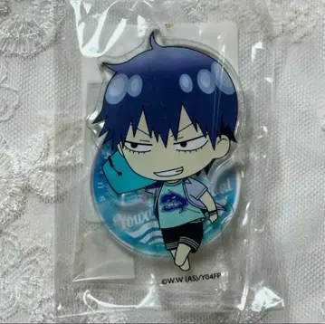 겁쟁이 페달 아라키타 야스토모