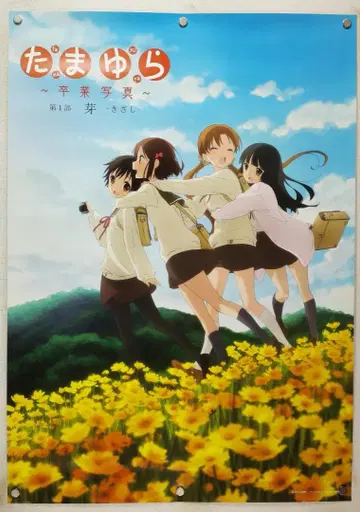 타마유라 B2 포스터