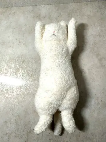 봉제 인형 작가님의, 화이트 고양이 봉제 인형