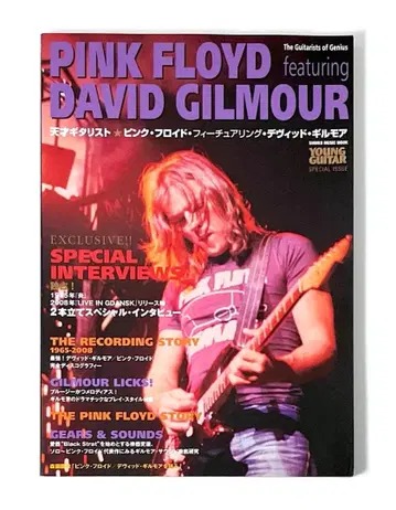 절판 천재 기타리스트 핑크 플로이드 피처링 데이비드 길모어