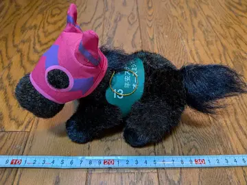 오스미 제트 제7회 헤이안 스테이크스 ATANTI 경마