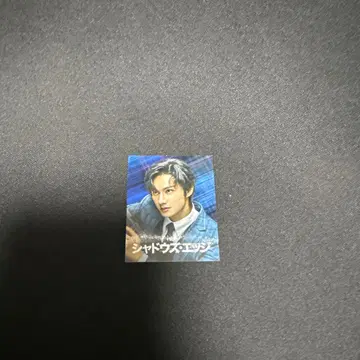 섀도우즈 엣지 입장 특전 미니 카드 C 투샤 & 준