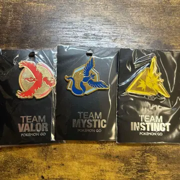 포켓몬 GO 팀 핀즈