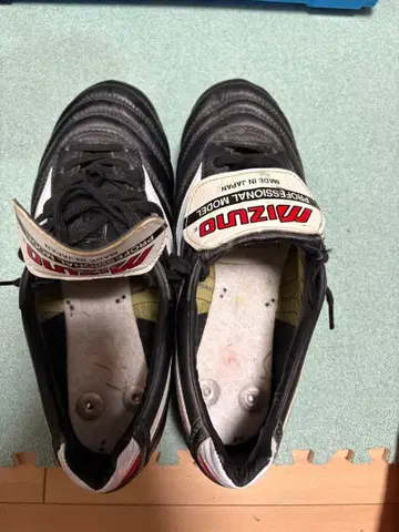 모렐리아 2 교체식