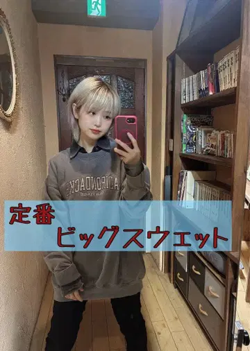 ADIRONDACKS 빅 맨투맨 그레이