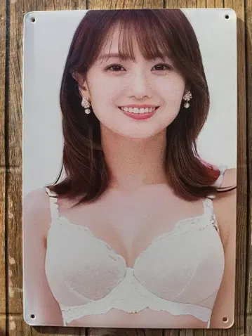 이노우에 세이카 양철 간판 신상 미사용품!