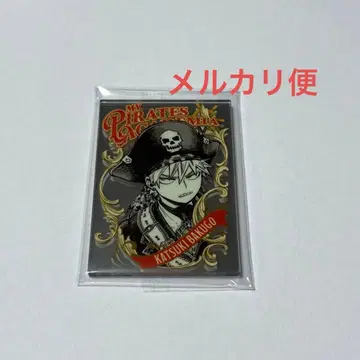 히로아카 파브 거울 바쿠고 점페스