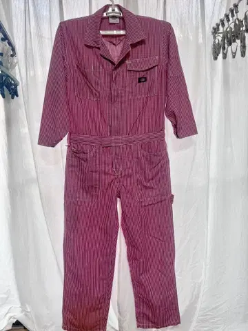 Dickies 스트라이프 오버롤