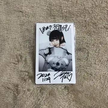 메메타 솔로 폴라로이드