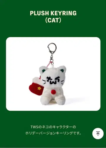 TWS HOLIDAY WITH US PLUSH KEYRING (CAT)