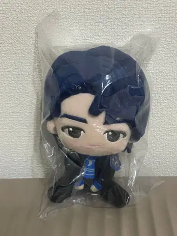 미세스 그린애플 제일복권 A상 와카이 히로토