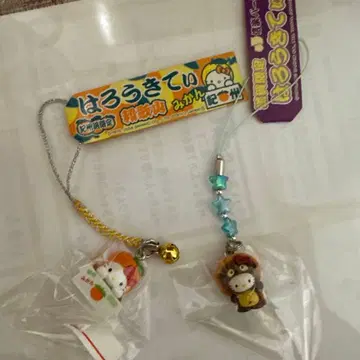 키티 와카야마 시가현 귤 시가라키