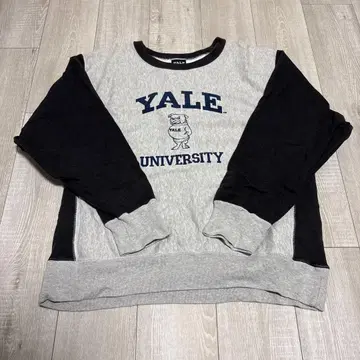 예일 대학교 & 치바 저널 스탠더드