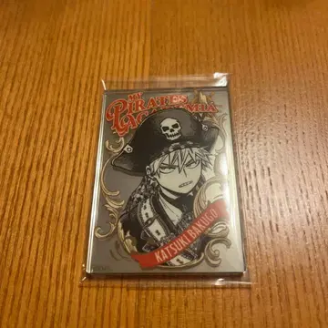 히로아카 펍 미러풍 아크릴 스티커 컬렉션 판타지 바쿠고 카츠키