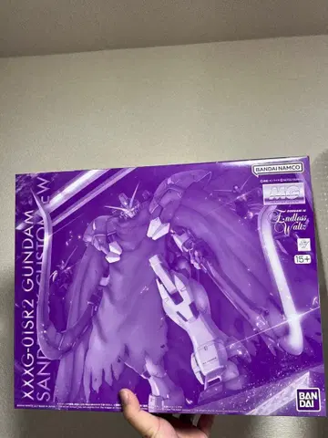 MG 1/100 건담 산드로크 개 EW