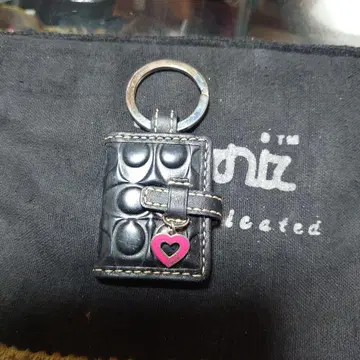 하트형 참 포함 키케이스