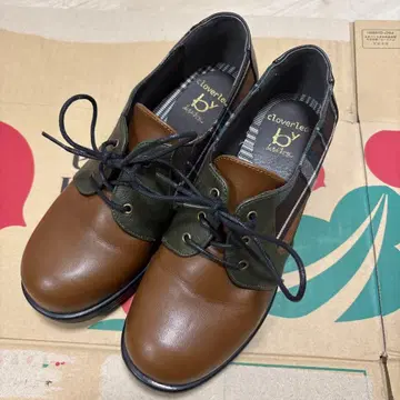 Cloverleaf 레이스업 힐 신발 브라운