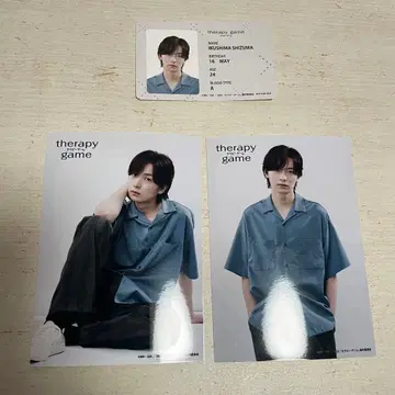 테라피 게임 이쿠시마 시즈마 트레이딩 브로마이드 ID 카드풍 포토 카드