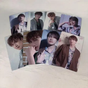 호소카이 케이 버스데이 이벤트 트레이딩 카드