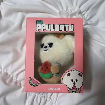 TXT BAMGEUT SUMMER TOGETHER 수박 키링