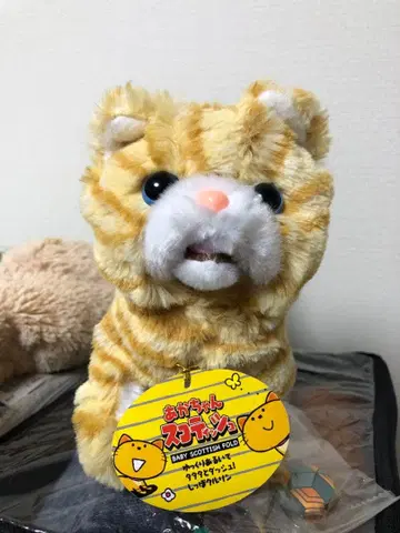 스코티시 폴드 봉제 인형 약 15cm