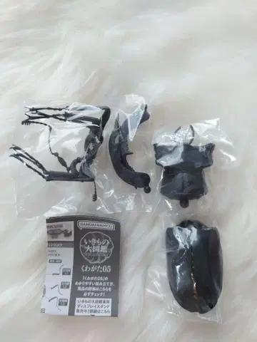 생물대도감 11개 묶음 판매