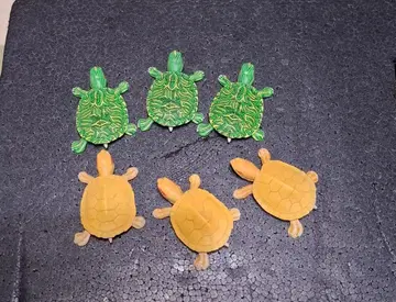 미도리거북 피규어 6체 세트