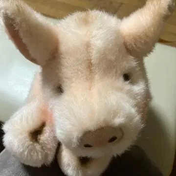 슈타이프 아기 돼지 봉제 인형