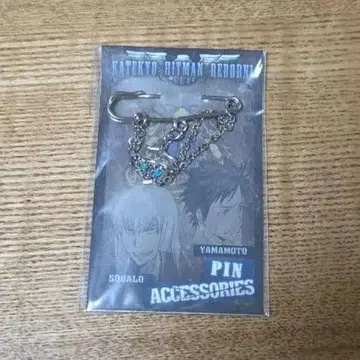 가정교사 히트맨 REBORN! 핀 액세서리 비의 수호자 리본