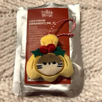 BOYNEXTDOOR DALRING 크리스마스 오너먼트 리우