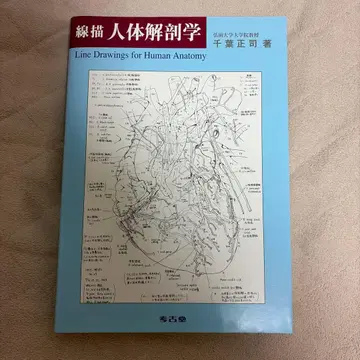 선묘 인체 해부학