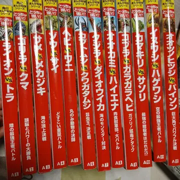 누가 더 강한가 12권 세트