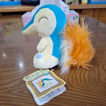 택 포함 포켓몬 센터 히노아라시 캔버스 봉제 인형