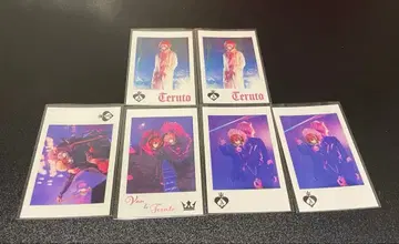 기사X 바우 씨 테루토 씨 포토 카드 6매