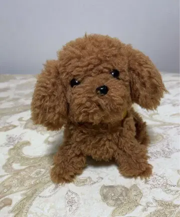 푸들 봉제 인형