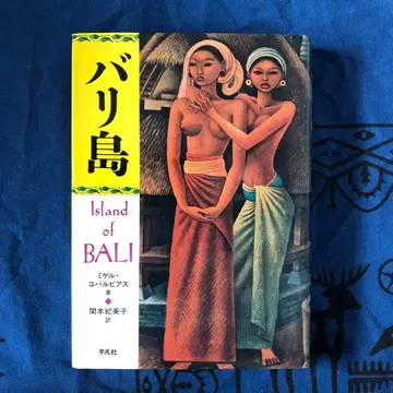 발리섬 미겔 코발비아스