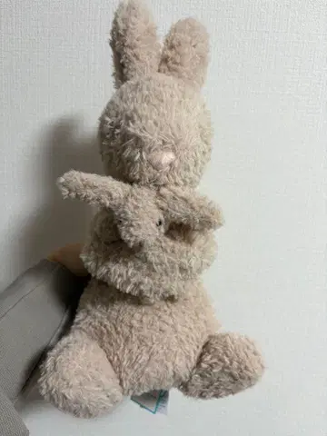 제리캣 Huddles Bunny