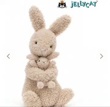 제리캣 Huddles Bunny