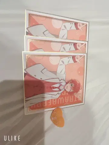 젤 군 굿즈 색지 링 라이트